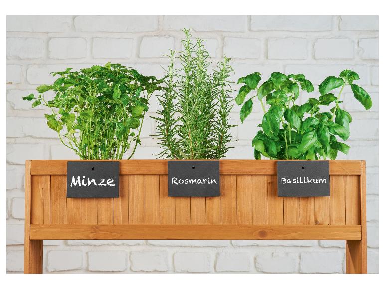 Étiquette pour plantes