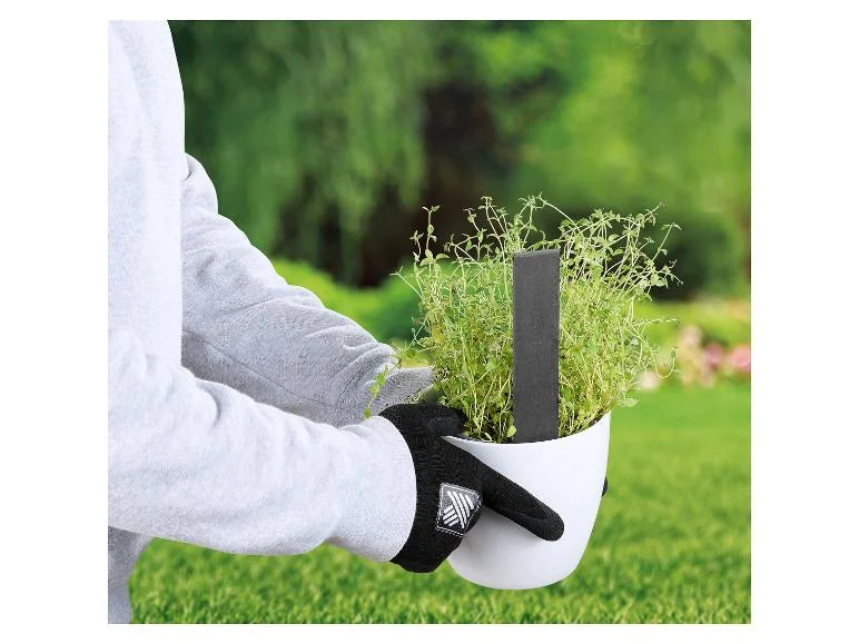 Étiquette pour plantes