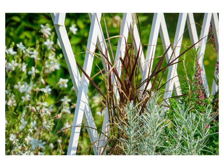 dobar Jardinière surélevée à roulettes avec treillis. L 79 x l 28.5 x H130 cm