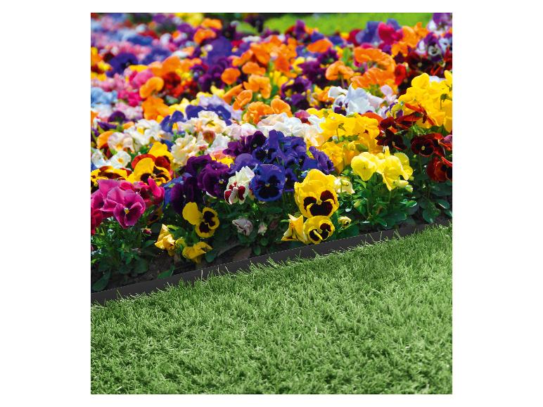 Bordure de jardin