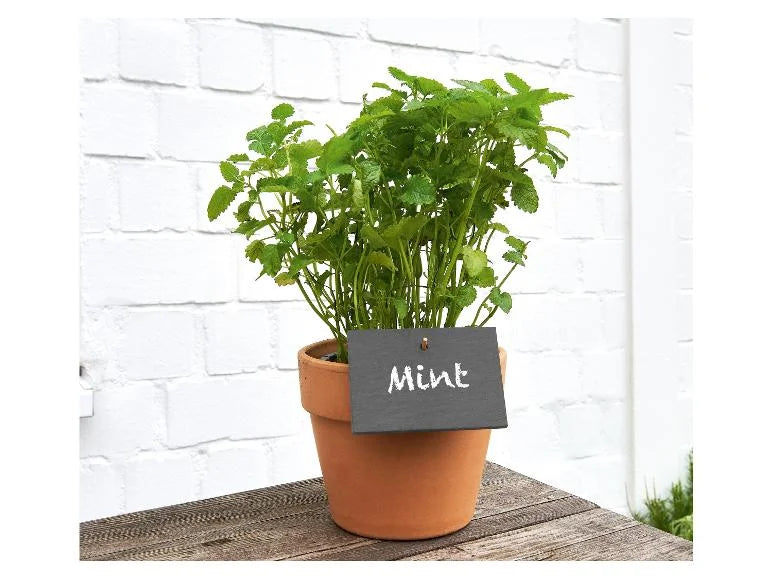Étiquette pour plantes