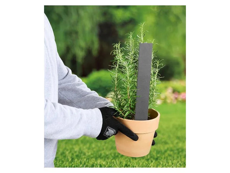 Étiquette pour plantes