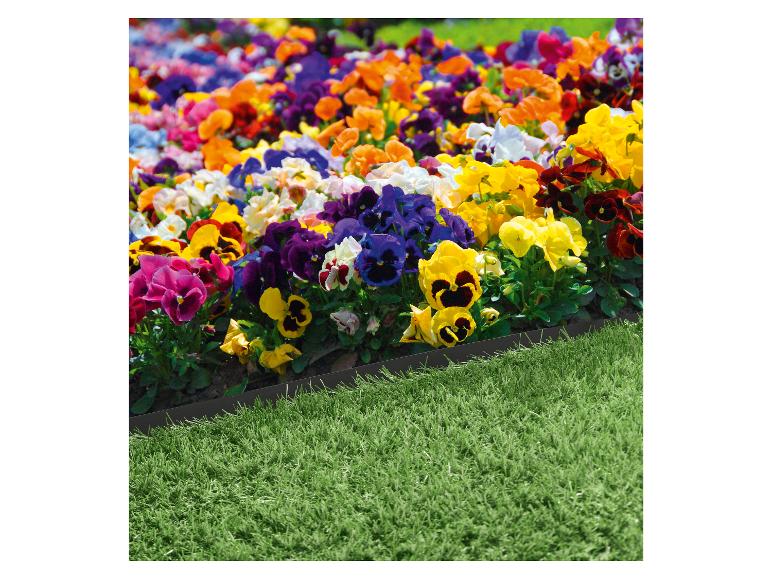 Bordure de jardin. 9 m x 15 cm